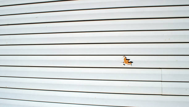 Best Shed Removal  in Connersville, IN